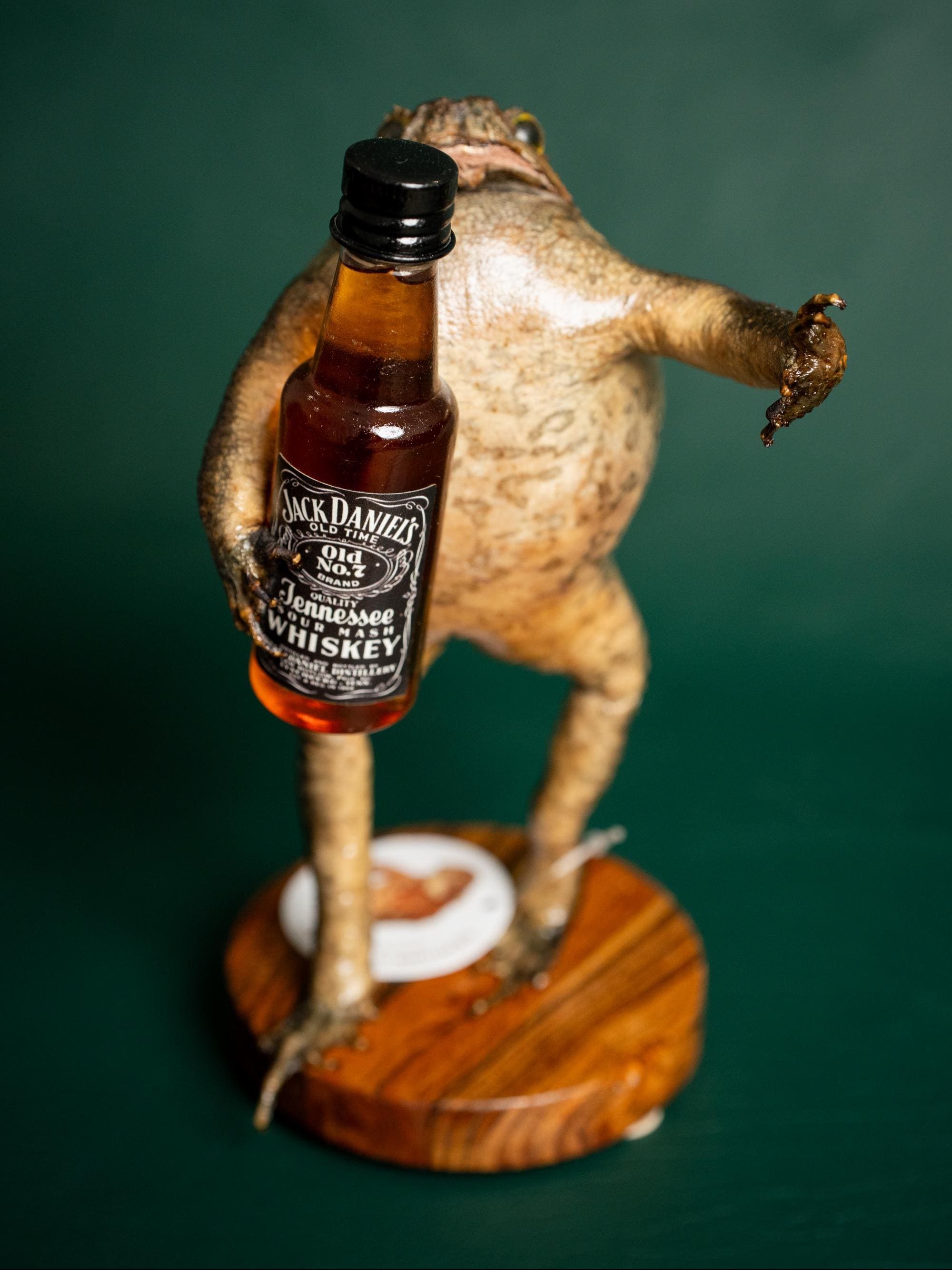 Genuine Taxidermy Cane Toad (non- Alcoholic Liquid) - Etsy