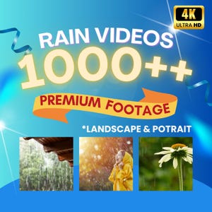 雨の映像 | 4K フル HD | 雷雨 | 霧雨 | 雨の日 | 嵐 | 暗い雲の動画