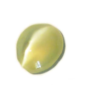 Chrysoberyl Cat&#39;s Eye 0.93 Ct Natural Sri Lanka Gemstone | Loose Oval Cat Eye Gem for Jewelry