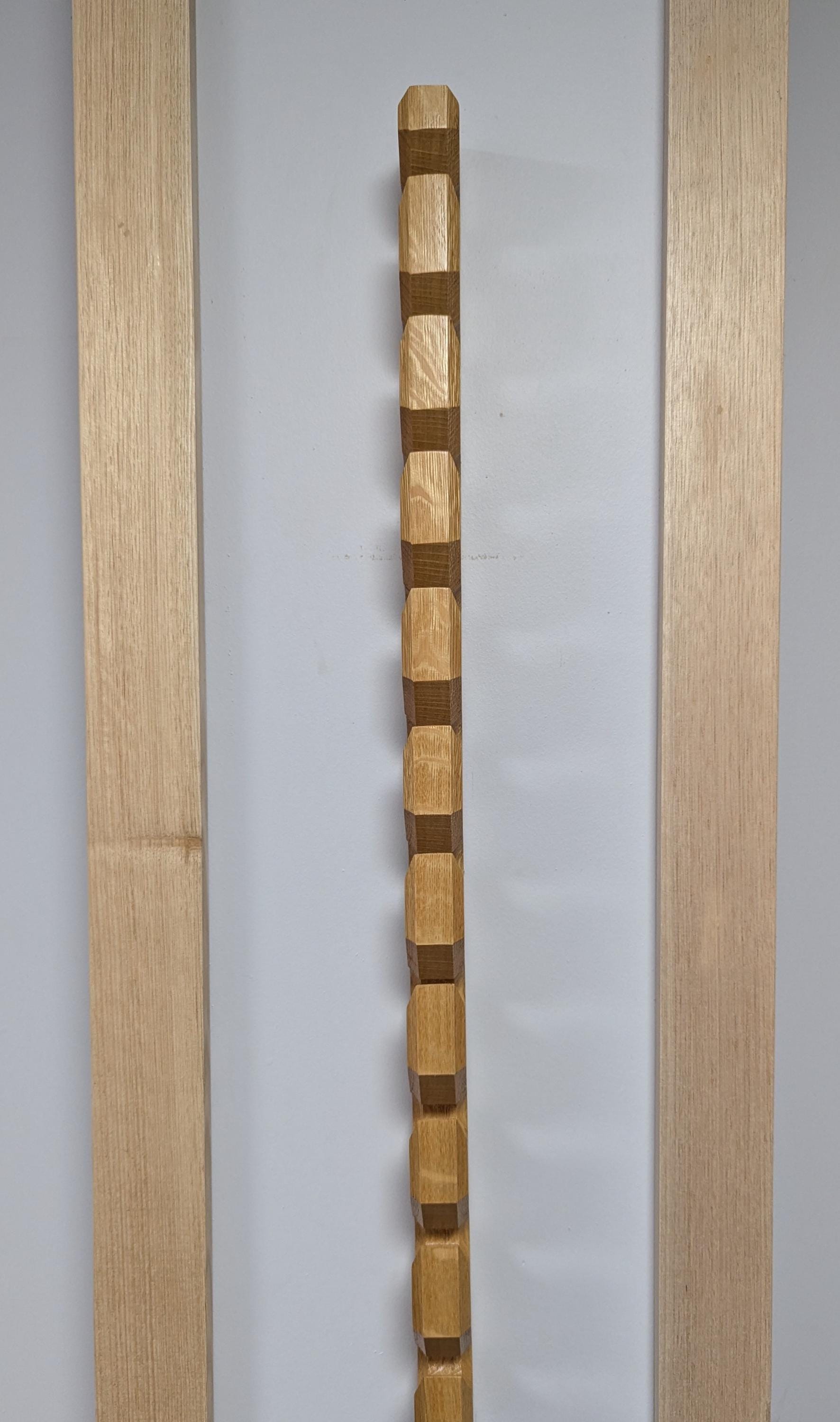 American Oak 10-hook Cap Rack - Wall Mounted Hat Organizer - Etsy Canada
