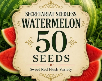 50 Secretariat Seedless Watermelon Seeds | Sweet Red Flesh Heirloom Style Melon | Non-GMO Garden Fruit Seeds