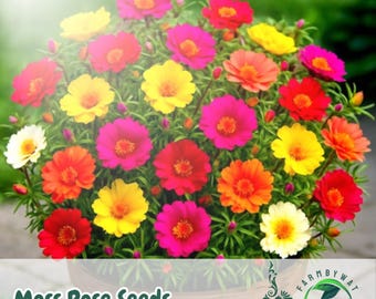 2000 Moss Rose Seeds: Drought-Tolerant Portulaca Grandiflora Double Mix
