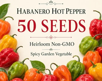 50 Habanero Hot Pepper Seeds – Heirloom Non-GMO Spicy Chili Pepper Seeds for Home Garden, Containers, Salsa & Hot Sauce