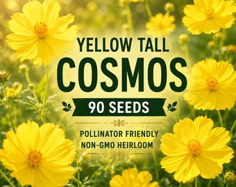 90 Cosmos Yellow Tall Flower Seeds, Non-GMO Heirloom Cosmos Seeds, Pollinator Friendly Garden Flowers, Tall Yellow Annual Seeds