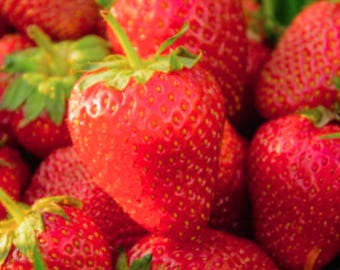 100 seltene rote Erdbeersamen: Große Früchte, Staudengarten