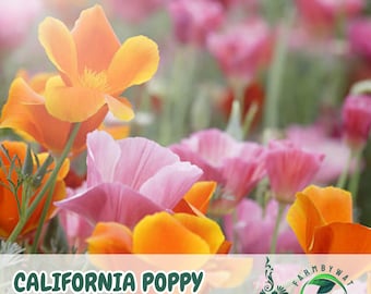 May include: A colourful image of California poppy flowers in shades of orange, pink, and yellow. The foreground shows open blooms, while the background is a soft blur of more flowers. The text "CALIFORNIA POPPY SPRING MIX" is at the bottom.