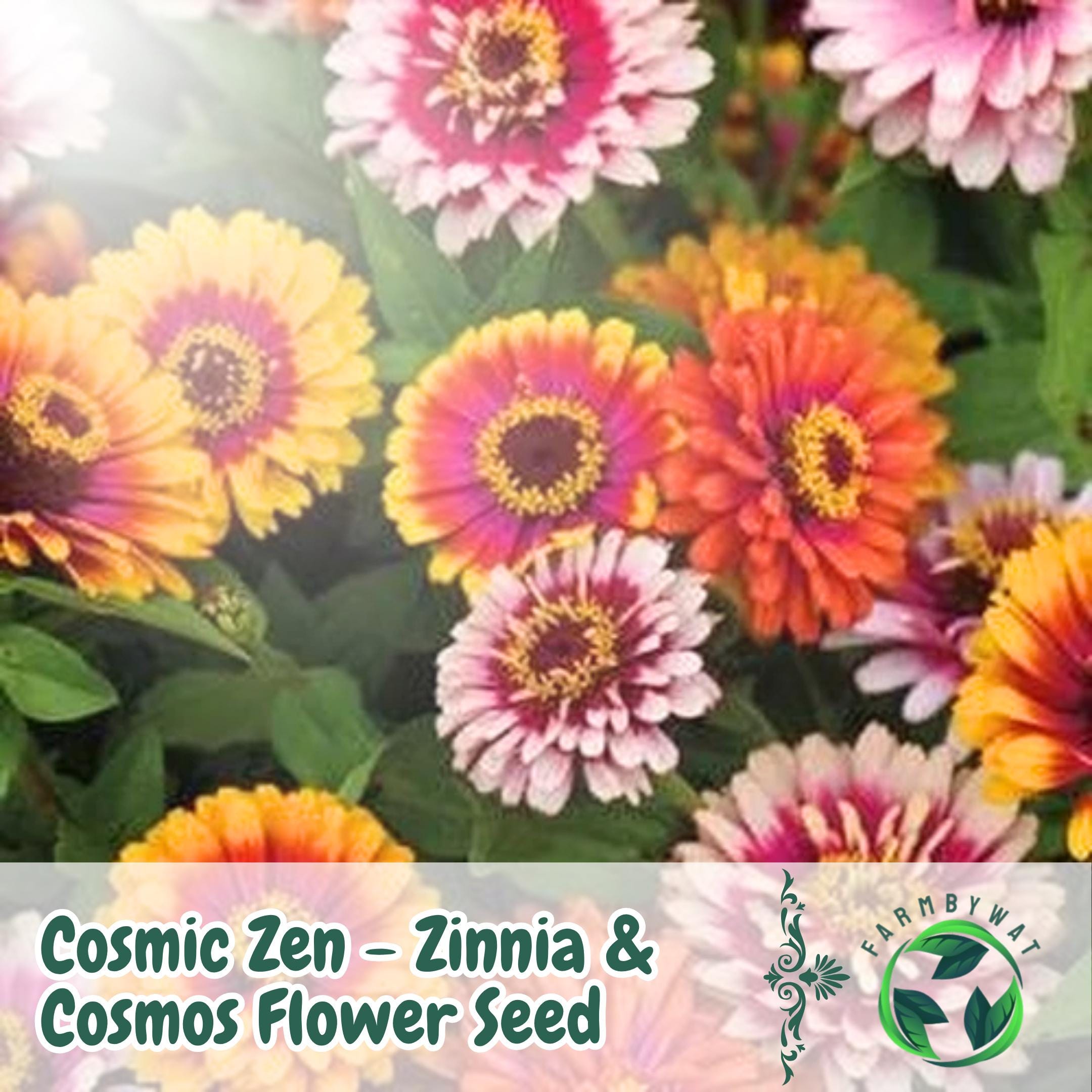 25 Cosmic Zen Zinnia & Cosmos Seed Mix: Colorful Pollinator Garden