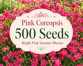 500 Pink Coreopsis Seeds | Bright Pink Summer Flowers | Easy-Grow Ornamental Blooms | Pollinator Friendly Garden Seeds | Non-GMO