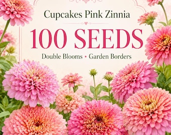 100 Cupcakes Pink Zinnia Seeds – Double Pink Blooms, Heirloom Cut Flower Seeds for Garden Borders, Beds, Containers & Bouquets