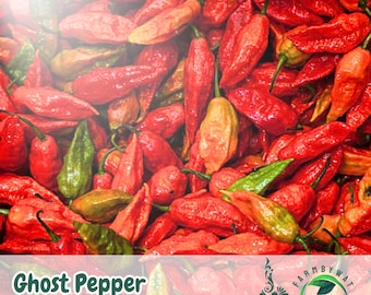 50 Ghost Pepper Seeds: Bhut Jolokia Extra Hot Chili, USA Grown