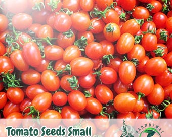 200 Red Cherry Tomato Seeds: Heirloom, Non-GMO, USA Seller