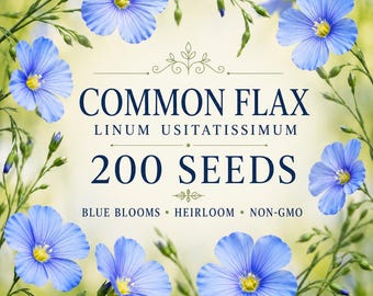 200 Common Flax Seeds Linum usitatissimum, Blue Bloom Heirloom Flower Seeds, Non-GMO Pollinator Friendly Garden Seeds, USA Seller
