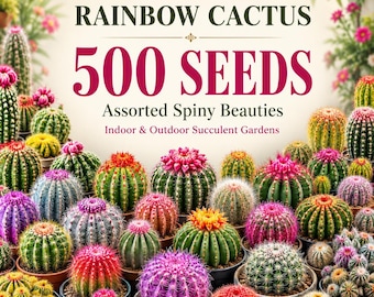 500 Rainbow Cactus Seeds – Assorted Colorful Cacti Seeds, Spiny Succulent Plants for Indoor Pots, Outdoor Gardens & Cactus Collections