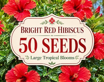 50 graines d'hibiscus rouge vif – Grandes fleurs tropicales, graines de fleurs exotiques pour arbustes d'ornement, terrasses et aménagements paysagers