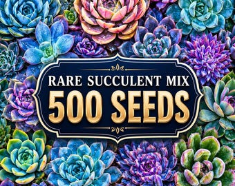 500 Rare Succulent Seeds Mix | Blue Rainbow Echeveria & Crassula Types | Colorful Succulent Seeds | Indoor Mini Garden Houseplants