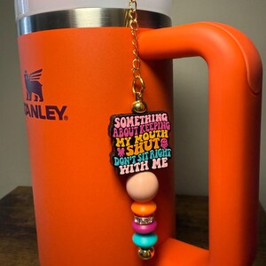 Funny saying tumbler straw charm