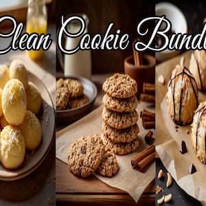 DELICIOUS Clean Cookie Recipe Bundle | Refined Sugar-Free Cookies | Lemon Ricotta, Spiced Oatmeal Raisin, Coconut Almond Macaroons PDF