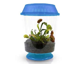 Live Venus Flytrap Plant Kit in 4.5" Blue Terrarium - Carnivorous Insect-Eating Plant - with Sphagnum Peat Moss - Educational Indoor Plant