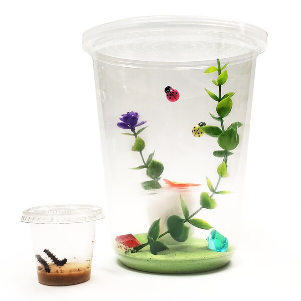 Butterfly Terrarium Etsy