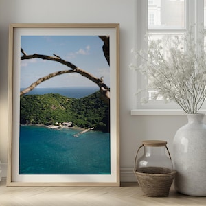 Stampa artistica tropicale | Fotografie caraibiche, fauna selvatica, illustrazioni originali, poster di viaggio.