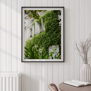 Stampa artistica originale di una parete verde | Fotografia di interior design francese | Illustrazioni originali di Simon Studio!