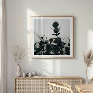 Arte murale della natura, fotografia naturalistica, illustrazioni originali, poster di viaggio, stampa artistica