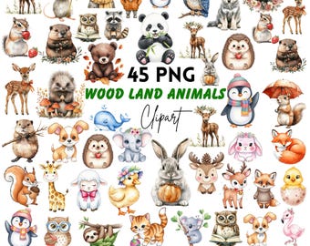 Imágenes prediseñadas de animales del bosque: Gráficos infantiles (Descarga digital - 45 PNG)