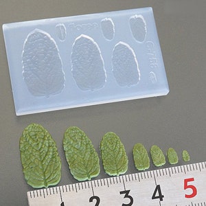 Peut inclure: Un moule en silicone transparent avec sept formes de feuilles différentes. Le moule est étiqueté "Flora" et "C-7758". Le moule est à côté d'une règle avec six objets en forme de feuille verte de tailles différentes.