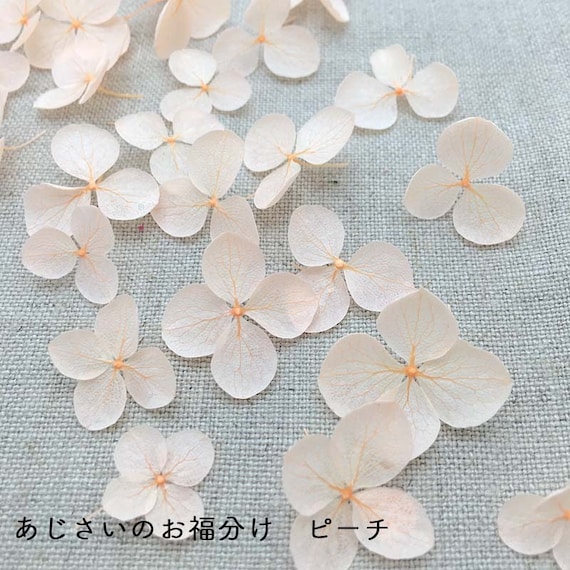 Preserved flowers Retro blue hydrangea petals about 40 pieces pack Made in Japan FF85117