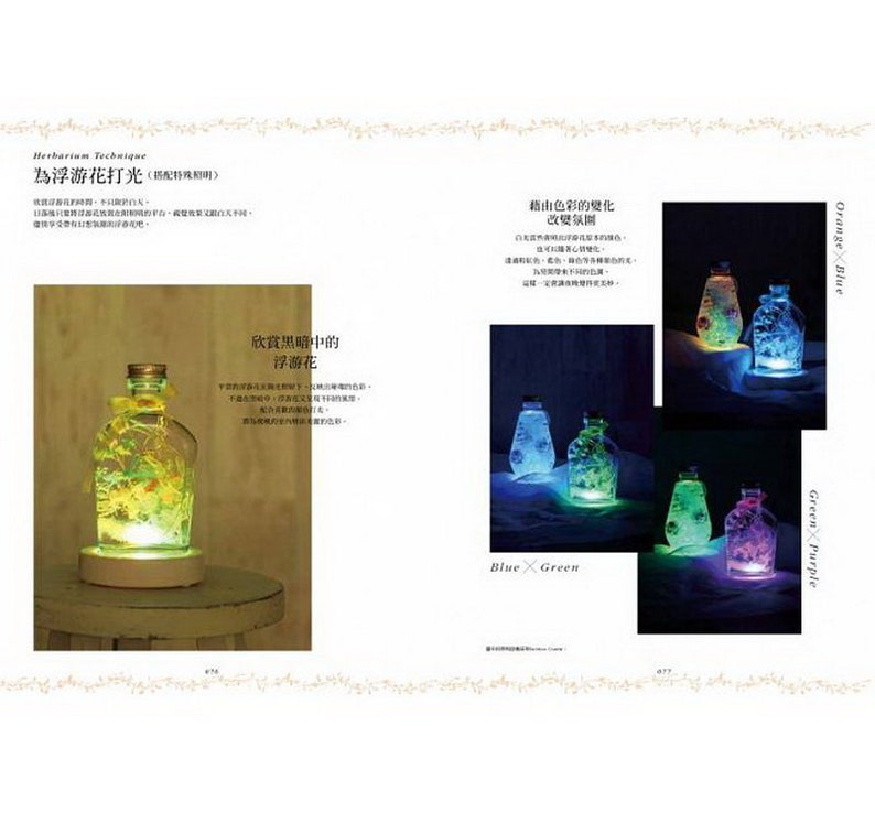 Handmade romantic floating flowers Herbarium - Chinese Craft Book BK450