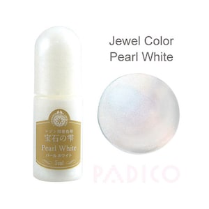 Japanese Padico Jewel Color for UV Resin Pearl White 5ml From Japan 403250
