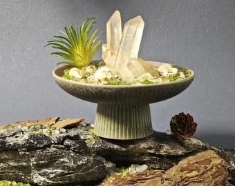 Kristallbonsai: Vita kristaller och snäckskal - Läkande energidekor