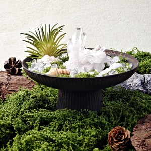 Puede incluir: Un cuenco negro decorativo sobre pedestal lleno de cristales de cuarzo transparente, conchas marinas y vegetación artificial. El cuenco se asienta sobre un lecho de musgo verde, con piñas y acentos de corteza de madera.