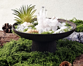 Kristallbonsai: Naturliga vita kristaller och snäckskal - Läkande energidekor