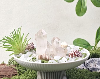 Kristallbonsai: Vita kristaller och snäckskal - Mountain-Sea Realm