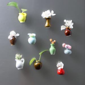 May include: A collection of small, colorful ceramic vases, each holding a single flower or plant. The vases are in various shapes and colors, including yellow, brown, green, and red. The background is a solid gray.
