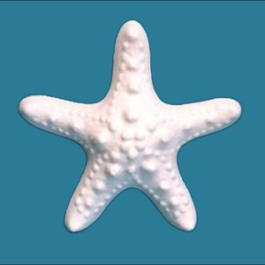 Ready To Paint Plaster, Bumpy Starfish, Starfish, U Paint, DIY Plaster, PlasterCraft, Plaster Craft, Kids Crafts, DIY Chalkware, Wall Décor