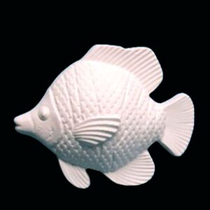 Ready To Paint Plaster, Tropical Fish, Fish, Gift, U Paint, DIY Plaster, PlasterCraft, Plaster Craft, Kids Crafts, DIY Chalkware, Flat Back
