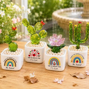 Pode incluir: Quatro figuras de vidro de cactos e suculentas em vasos quadrados brancos cheios de pequenas pedras. Cada vaso apresenta um gráfico de arco-íris colorido, ícones escolares e o texto "Thanks for shaping my future" com "Mr. Kestrel" impresso abaixo.