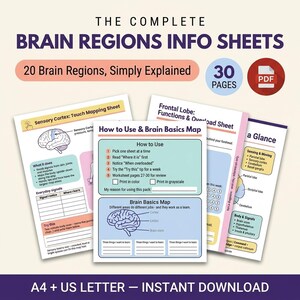 Brain Regions Info Sheets, 30 Page Brain Areas & Functions Quick Reference, Neuroscience Cheat Sheet, Poster, Neuropsychology Worksheets