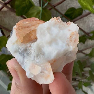 May include: A hand holds a raw crystal formation. The crystal has a white base with patches of light orange and peach-coloured crystal clusters. The overall shape is irregular and textured, with visible crystalline structures.