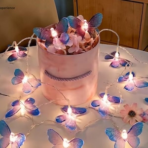 May include: A string of LED fairy lights featuring translucent blue and purple butterfly-shaped covers, arranged around a cylindrical pink container filled with artificial flowers. The text PremiumExperience is visible in the top left corner.