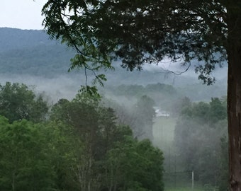 niebla de montaña