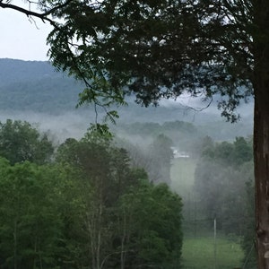 Berg-Nebel