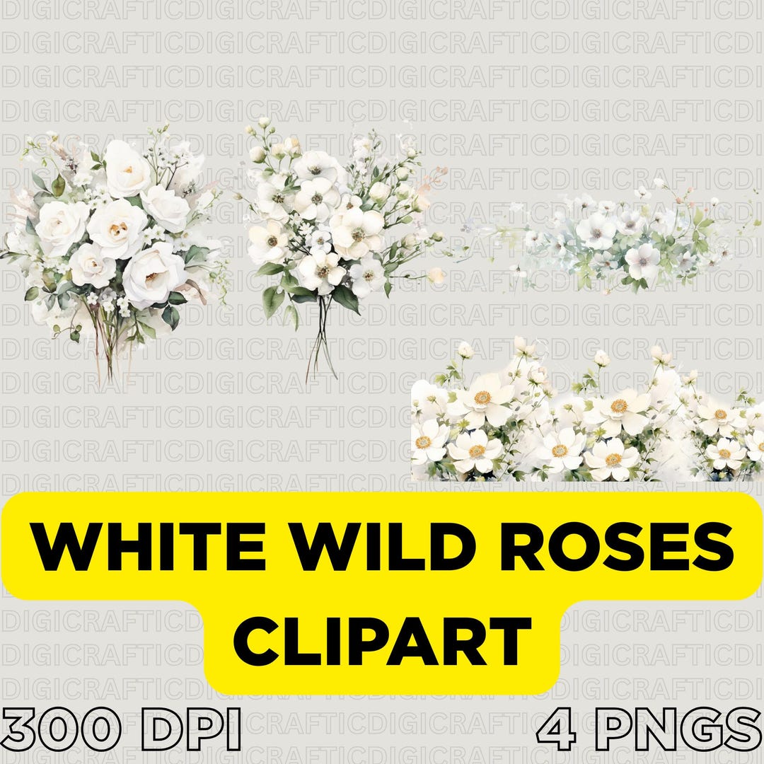 White Wild Roses Clipart | Watercolor Floral PNG Bundle - Etsy