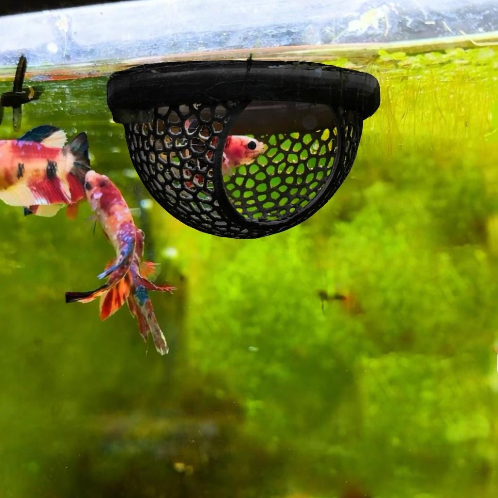 5 Stück Koi Deko, Künstlicher Schwimmender Fisch, Schwimmende Deko Fische, Aquarium Deko Fische Klein, Harz Fische, Miniteich Zubehör, Teichfische 5 Stück Koi Deko, Künstlicher Schwimmender Fisch, Schwimmende Deko Fische, Aquarium Deko Fische Klein, Harz Fische, Miniteich Zubehör, Teichfische