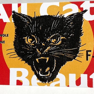 All Cats Are Beautiful - briefkaart