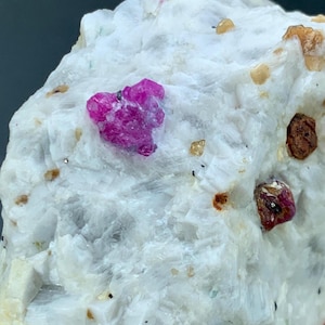May include: A close-up of a rough, white stone with embedded gemstones. The stone has a crystalline structure and features several vibrant, deep pink rubies and smaller, golden-brown minerals. The rubies are clustered, adding visual interest to the natural rock formation.