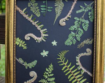 Arte floral prensado enmarcado