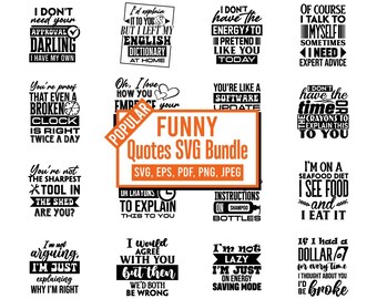 Paquete SVG sarcástico, paquete SVG divertido, paquete SVG de sarcasmo, camisetas con citas SVG atrevidas, regalo divertido para mamá, mamá PNG divertida, coordinador del caos SVG
